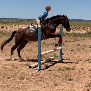 Meet your Posher, Jordan